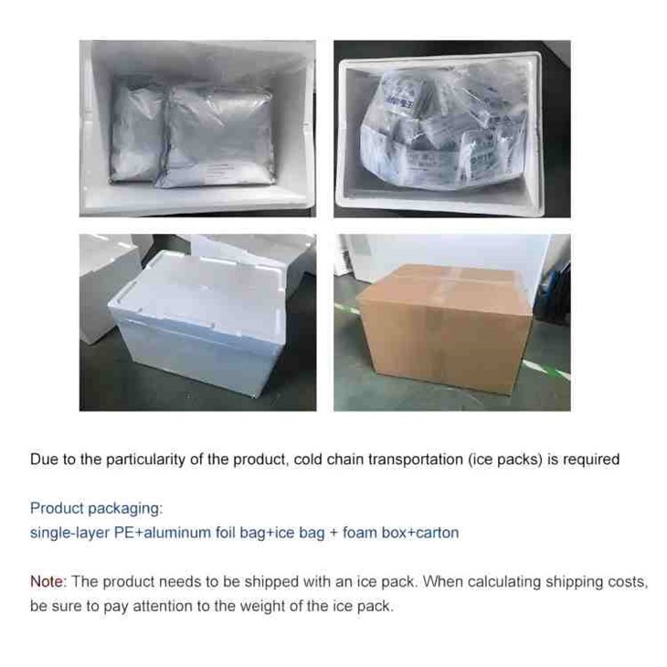 Bifidobacterium Longum