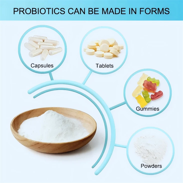Lactobacillus Reuteri
