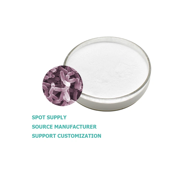 Lactobacillus Caseii